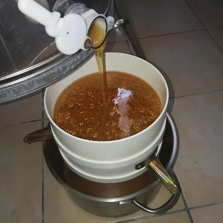 Casella Del Piano Farm stay *