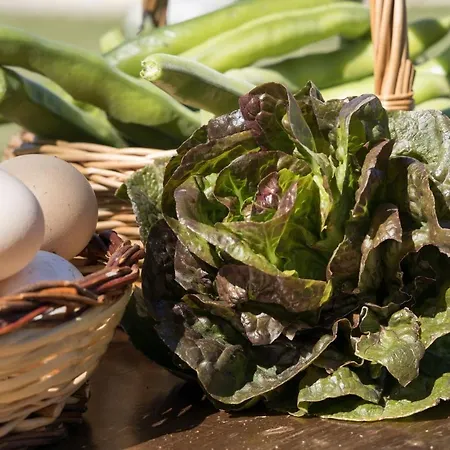 Casella Del Piano Farm stay Gubbio