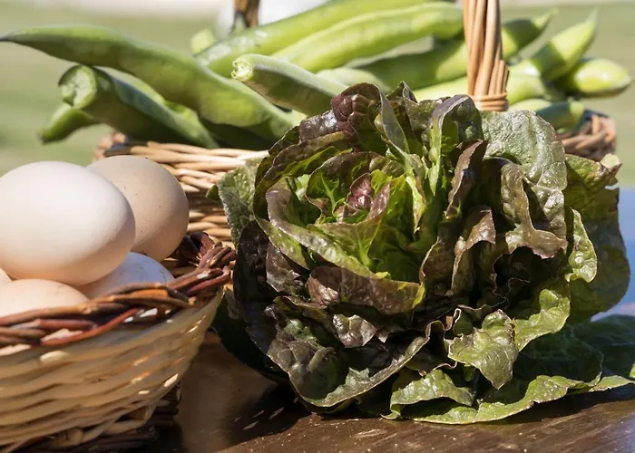 Casella Del Piano Alloggio per agriturismo Gubbio